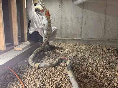 Gallery image 13